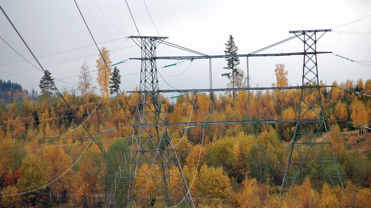 Otillräckliga statliga åtgärder för ett effektivt elsystem