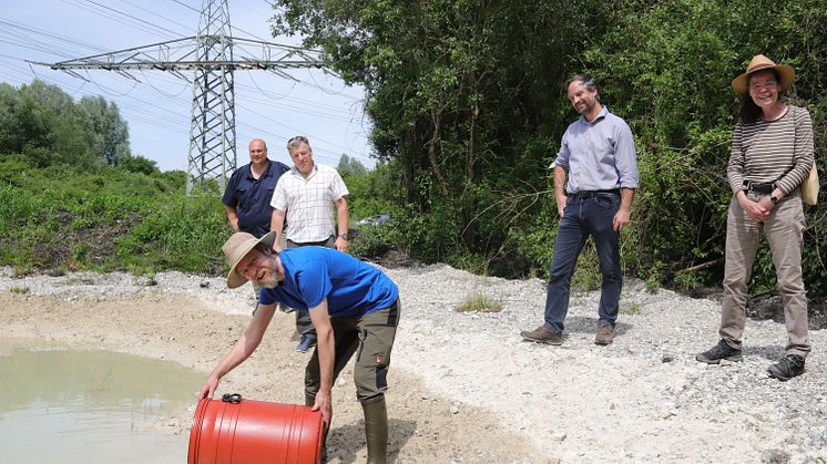 Christian Köbele vom LBV setzt mehrere Hundert Kaulquappen in das Gewässer auf einer ökologisch aufgewerteten Ausgleichsfläche der Bayernwerk Netz GmbH.