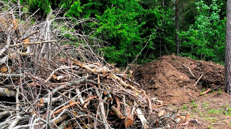 GROT - grenar och toppar som blir över vid skogsavverkning, används som bränsle i fjärrvärmen.