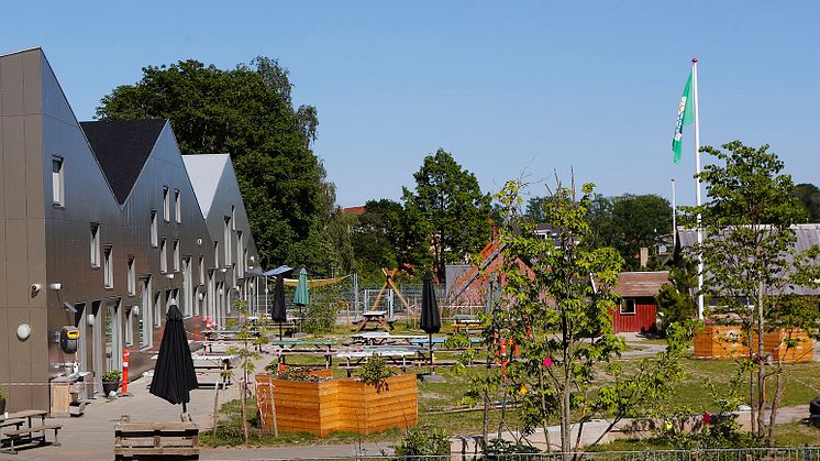 Fokus på kvaliteten i Odder Kommunes dagtilbud