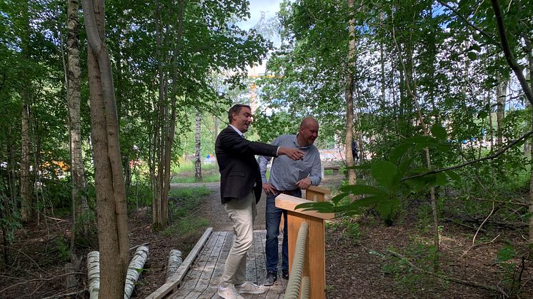 Naturparken intill bostadsområden på Jakobsberg med spång och grillplats