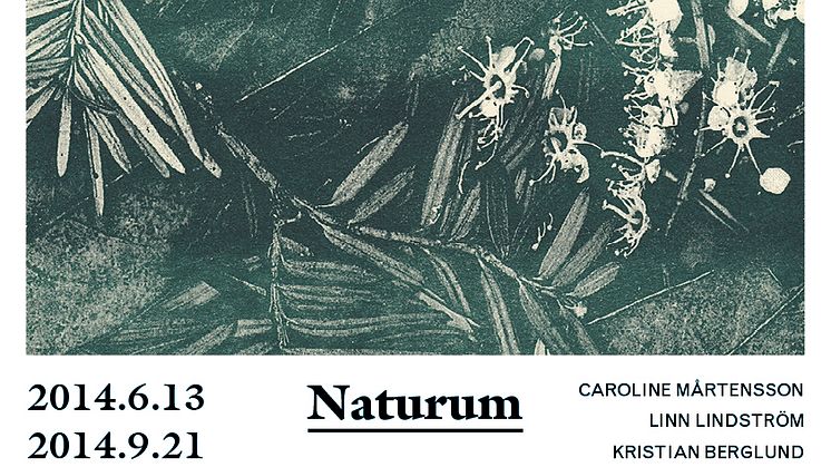 NATURUM: Grupputställning på Göteborgs Konsthall 13 juni-21 september