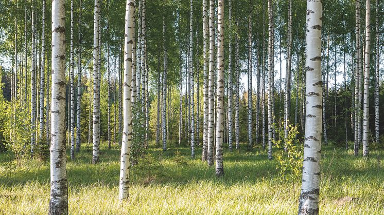 Puustelli tummar aldrig på hållbarheten