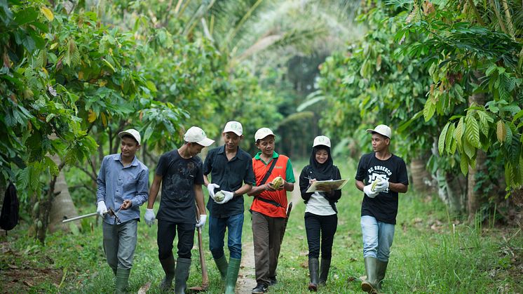 Mondelēz International double ses investissements sur Cocoa Life avec un total de 1 milliard de dollars d'ici 2030 et appelle à davantage d'actions sectorielles
