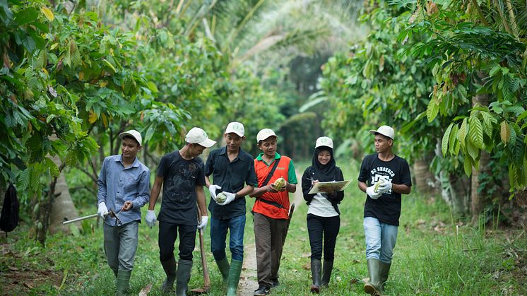 Mondelēz International verdubbelt investering in het Cocoa Life Programma, goed voor een totale investering van 1 miljard dollar tegen 2030