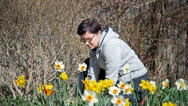 Miljövärden Joanna Spora gör vårfint i Bergsjön