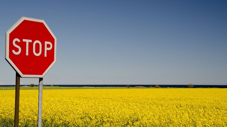 Regeringen föreslår skatt på biooljor för uppvärmning.