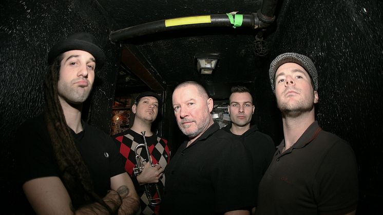 Amerikanska Ska-legenderna THE TOASTERS till Växjö! 