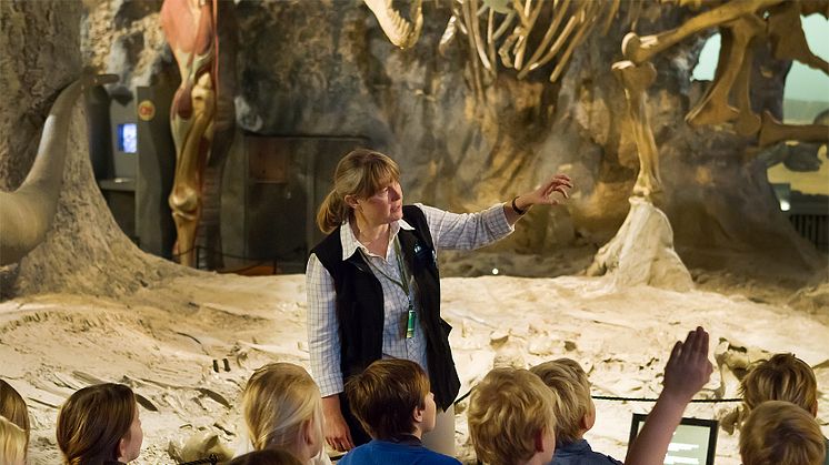 Det händer i höst på Naturhistoriska riksmuseet