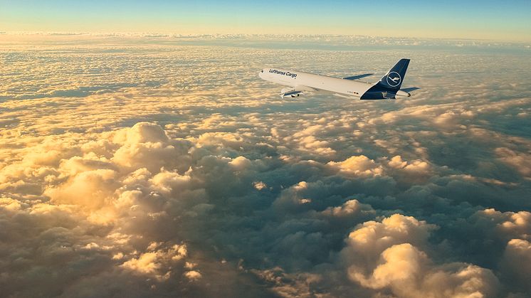 Lufthansa Cargo baut das innereuropäische Streckennetz mit zusätzlichen A321-Frachtern weiter aus