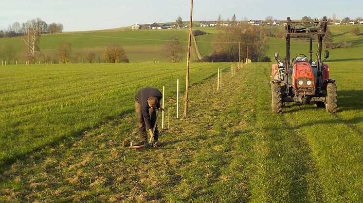 Veolia Stiftung: Zwei Jahre Kooperation für Klimaschutz und Biomasseerzeugung durch Agroforstsysteme