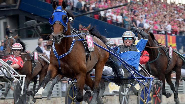 Spelarna de stora vinnarna under Elitloppshelgen