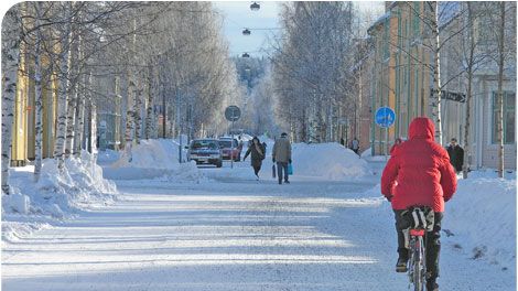 Vegdirektoratet lär sig mer om cykling i Umeå