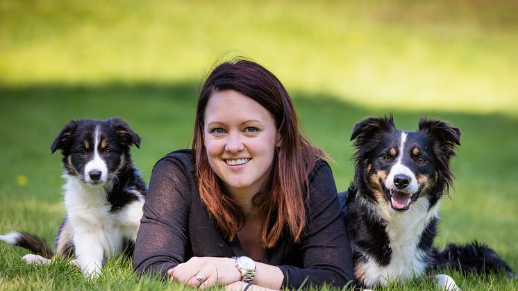 Border collies med sin matte