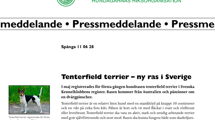Tenterfield terrier – ny hundras i Sverige