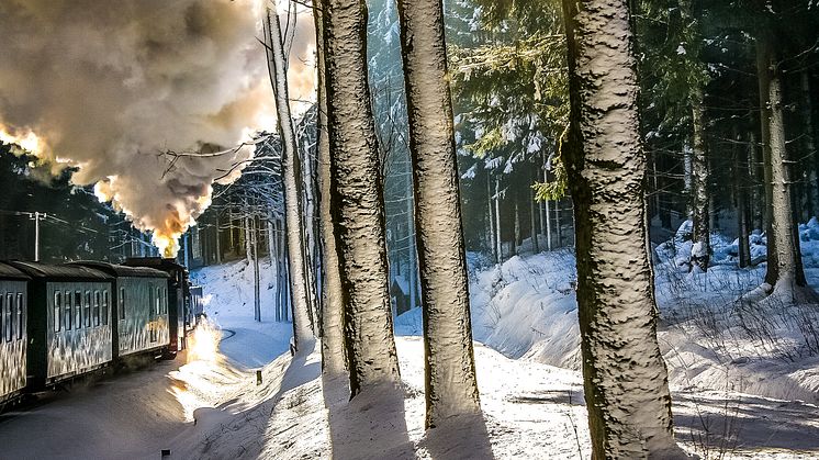 Auch die Dampfbahnen der Region laden zu winterlichen Ausflügen ein.