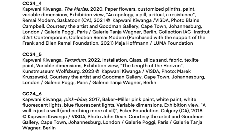 Exhibition Program 2024 – Captions.pdf