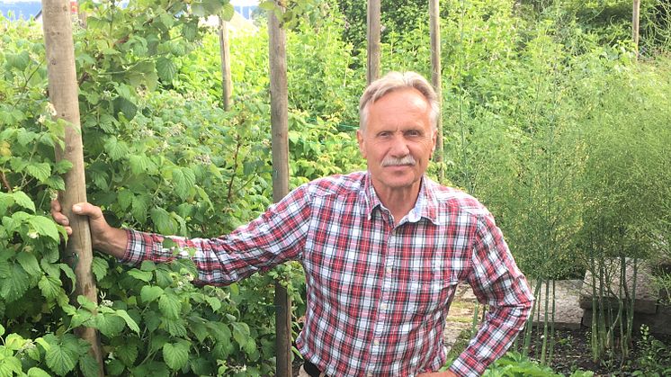 Magnus Engstedt är rådgivare och har besökt bärodlingar från södra Sverige till en bit norrut.