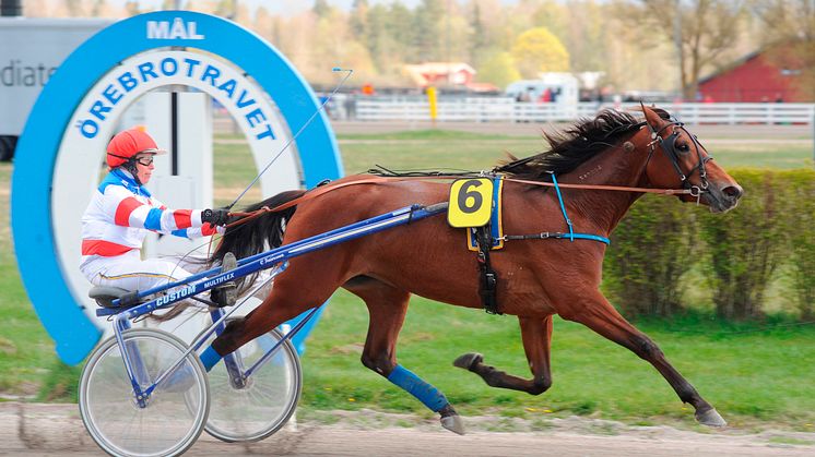 Spännande fält i Rikstravets lopp