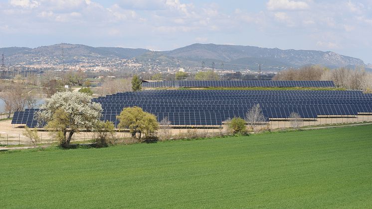 17 Freiflächen-PV-Projekte im Norden und Nordosten Deutschlands                                                         Bildrechte: EDF Renewables