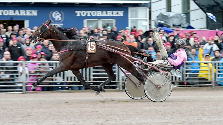 Diable de Vauvert, tränad av Bertrand Le Beller och körd av Gabriele Gelormini, speedade till seger i Harper Hanovers lopp på Solvalla. Foto: TR Bild