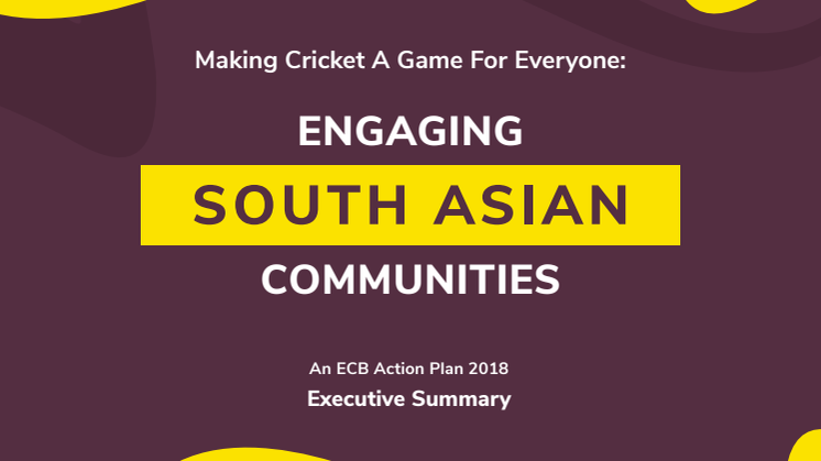 ECB South Asian Action Plan Executive Summary