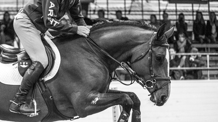 Clinic med Alexander Zetterman på Helsingborg Horse Week