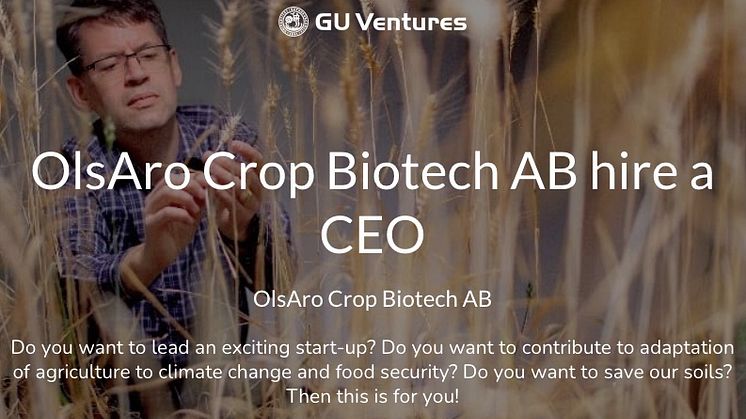 OlsAro Crop Biotech AB is looking to hire a CEO