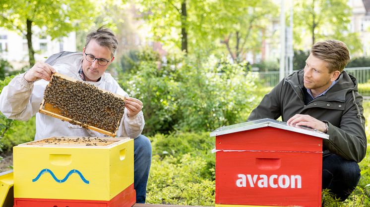 Viel Energie für den Artenschutz: Avacon holt Bienen aufs Betriebsgelände.
