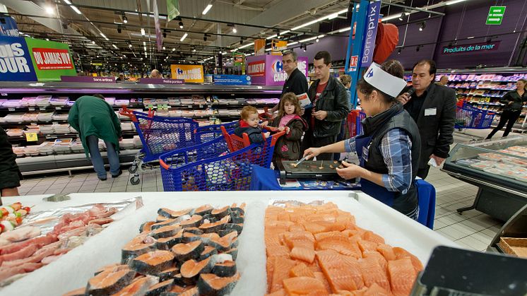 Continuing strong prices for Norwegian salmon and trout in August 2016.  