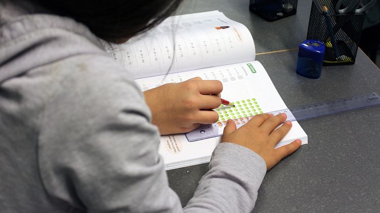 Kommersiella aktörer vinner mark i skolan