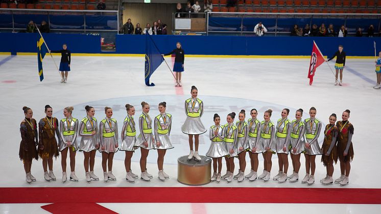 Resultat SM i synkroniserad konståkning 2014