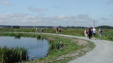 Örebro kommun får pengar för idé om ökad tillgänglighet i natur- och kulturreservat