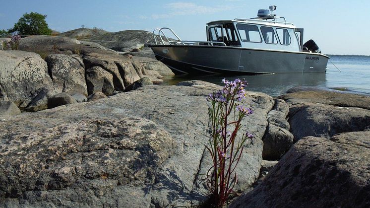 Johan Bohman, Sundskär: ” Väderdrama ingår i ölivet”