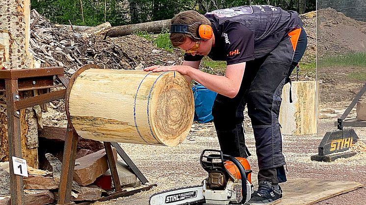 Adam Bjöns i grenen Stock Saw