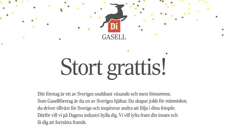 Våningen & Villan utsedd till Gasellföretag av Dagens Industri – igen!