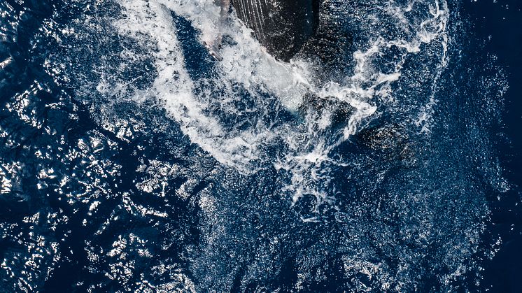 SkyPixel 6th Anniversary Contest-Annual Photo Award-Humpback Breach