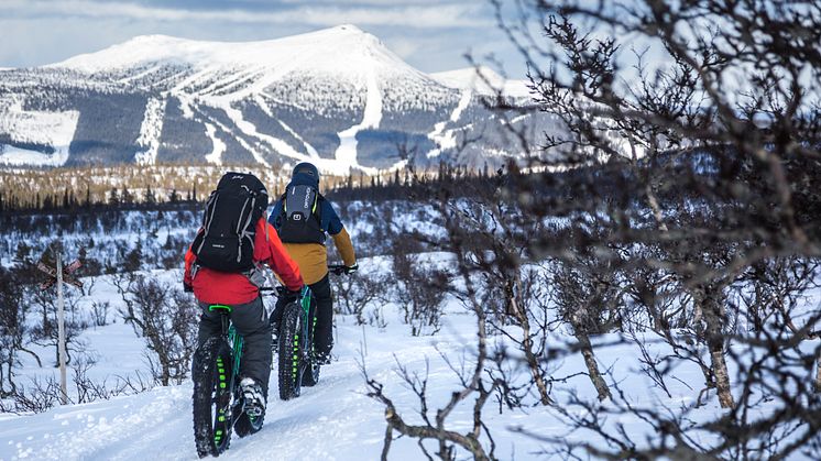 Fatbikeåkare på skoterled