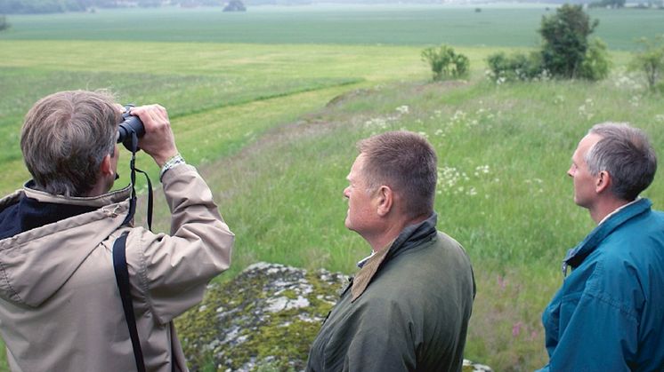 Sönke Eggers från BirdLife Sverige, Sören Eriksson från Hushållningssällskapet och lantbrukaren Göran Eriksson på Brunnsta gård. Foto: Jörgen Hildebrandt