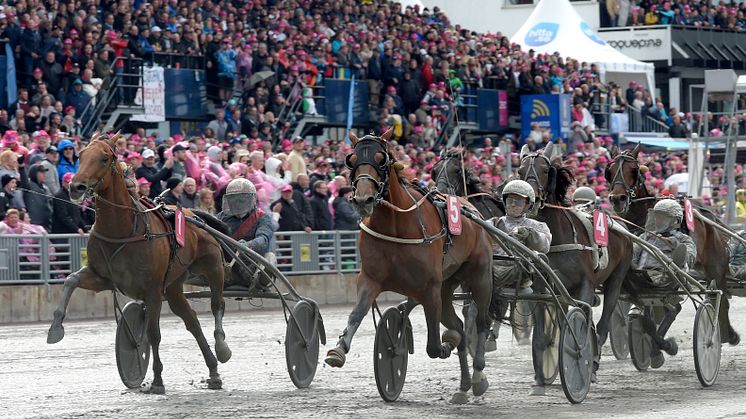 Dijon vinner Elitloppet 2019. Foto: Lars Jakobsson/TR Bild