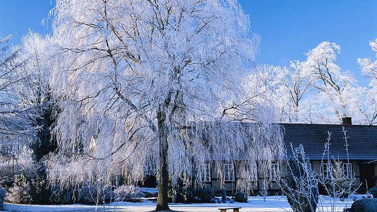 Värmesäkra ditt hem och spara tusenlappar i vinter