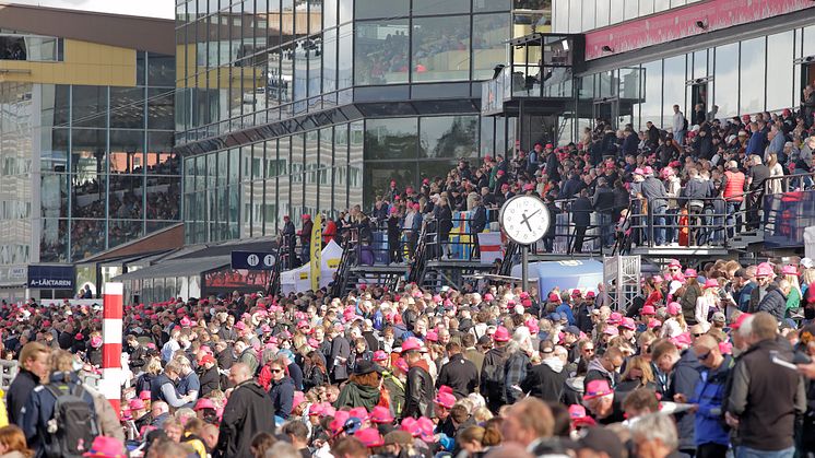 Folkfesten får ännu större serveringsområde 2023 Foto: Solvalla