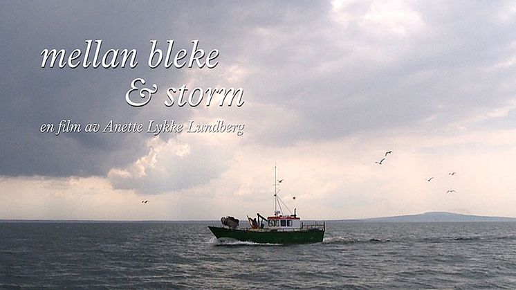 Filmsläpp: Mellan bleke & storm