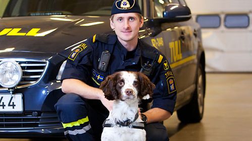 Zak är Årets narkotikasökhund 2014