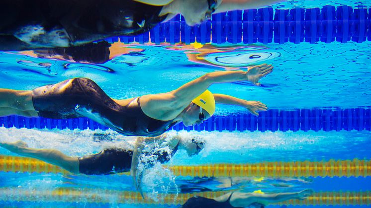 Ny stor internationell simtävling till Stockholm 2016