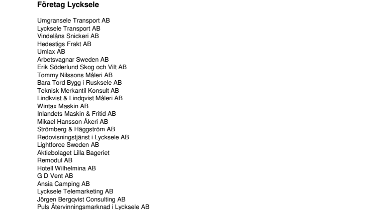 Företagen bakom Bästa Tillväxt 2008 Lycksele kommun.