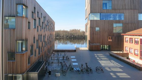 Arktiekthögskolan ligger på Umeå universitets Konstnärliga campus vid älven. Foto: Ulrika Bergfors Kriström