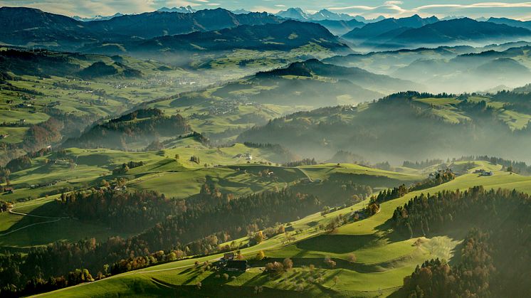 AlpenpanoramaImNapfgebiet(c)SchweizTourismus_JanGeerk