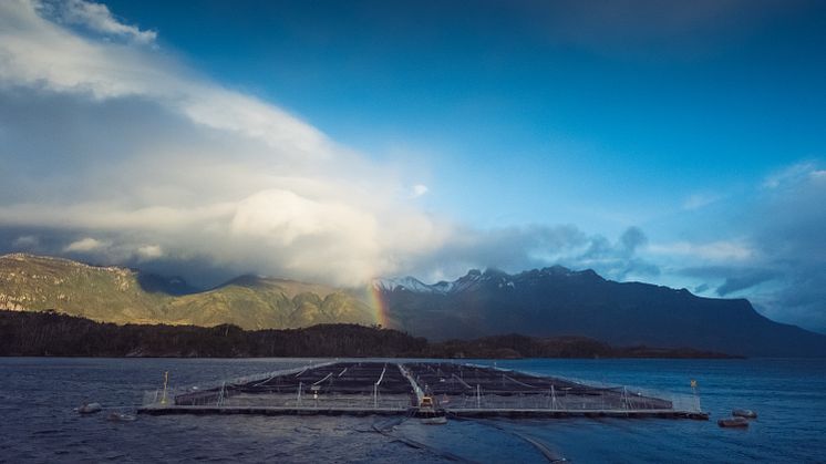 The announcement contributes to a growing uncertainty in international investment in British Columbia and Canada, says CEO Steven Raffery 