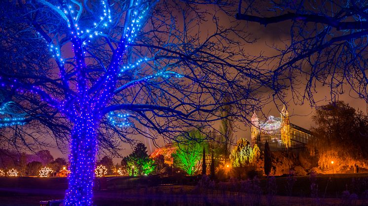 Christmas Garden Berlin